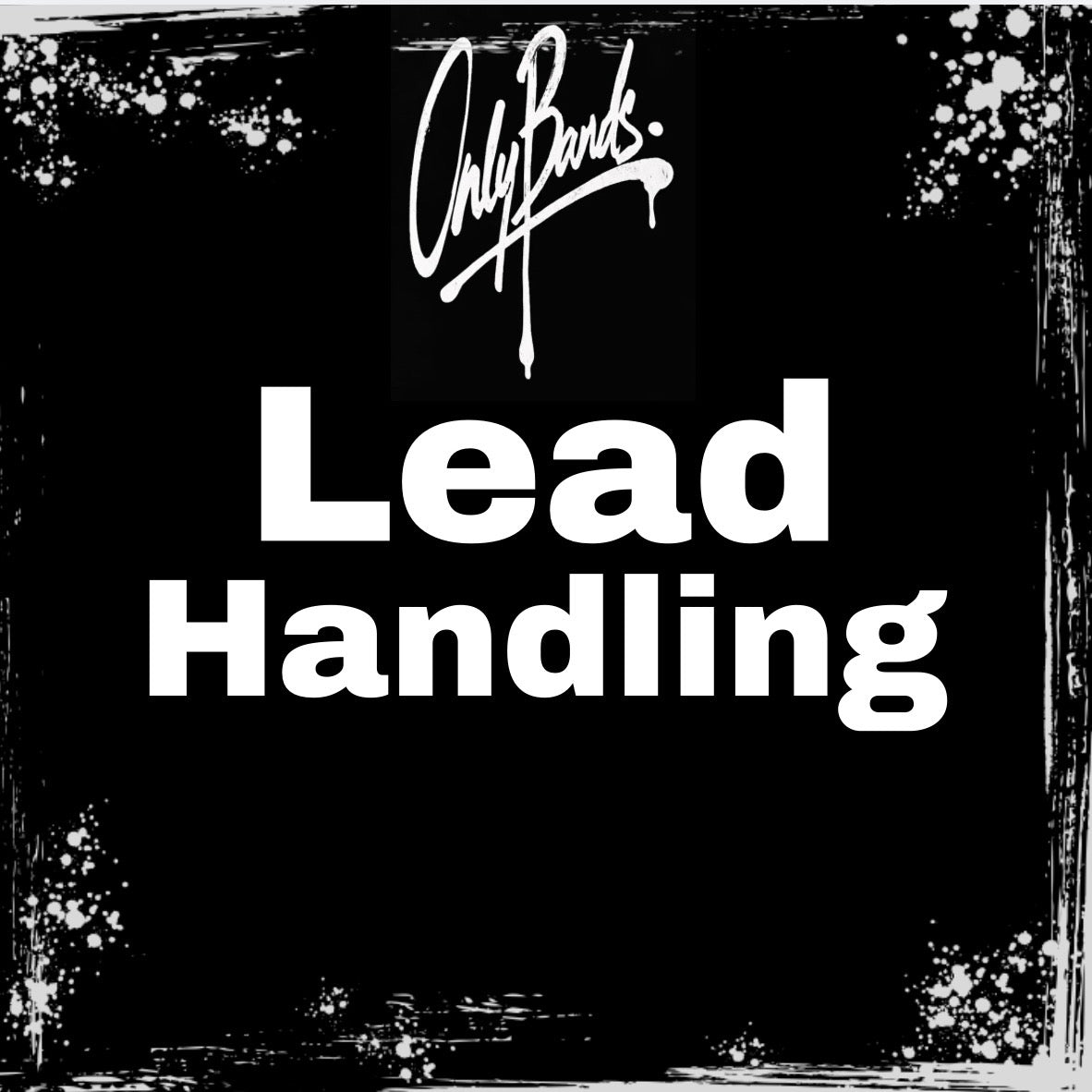 Lead Handling/ DM Management
