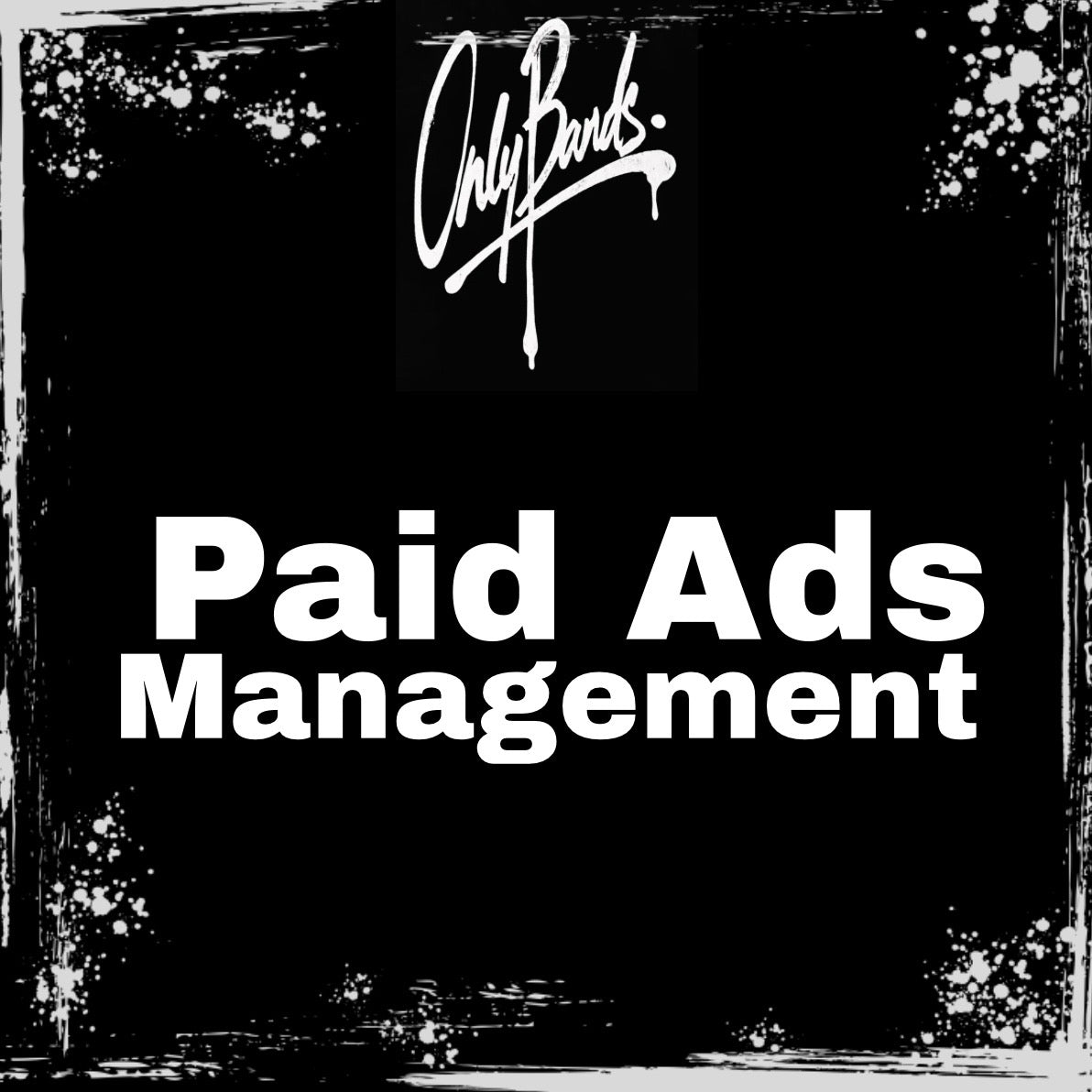 Paid Ads Management