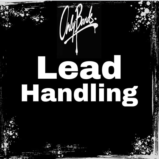 Lead Handling/ DM Management