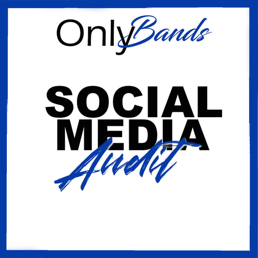 Social Media Audit